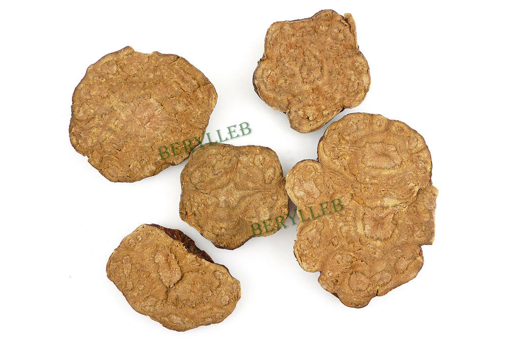 Wild Uncooked Chinese Knotweed He Shou Wu Polygonum Multiflorum Root ...